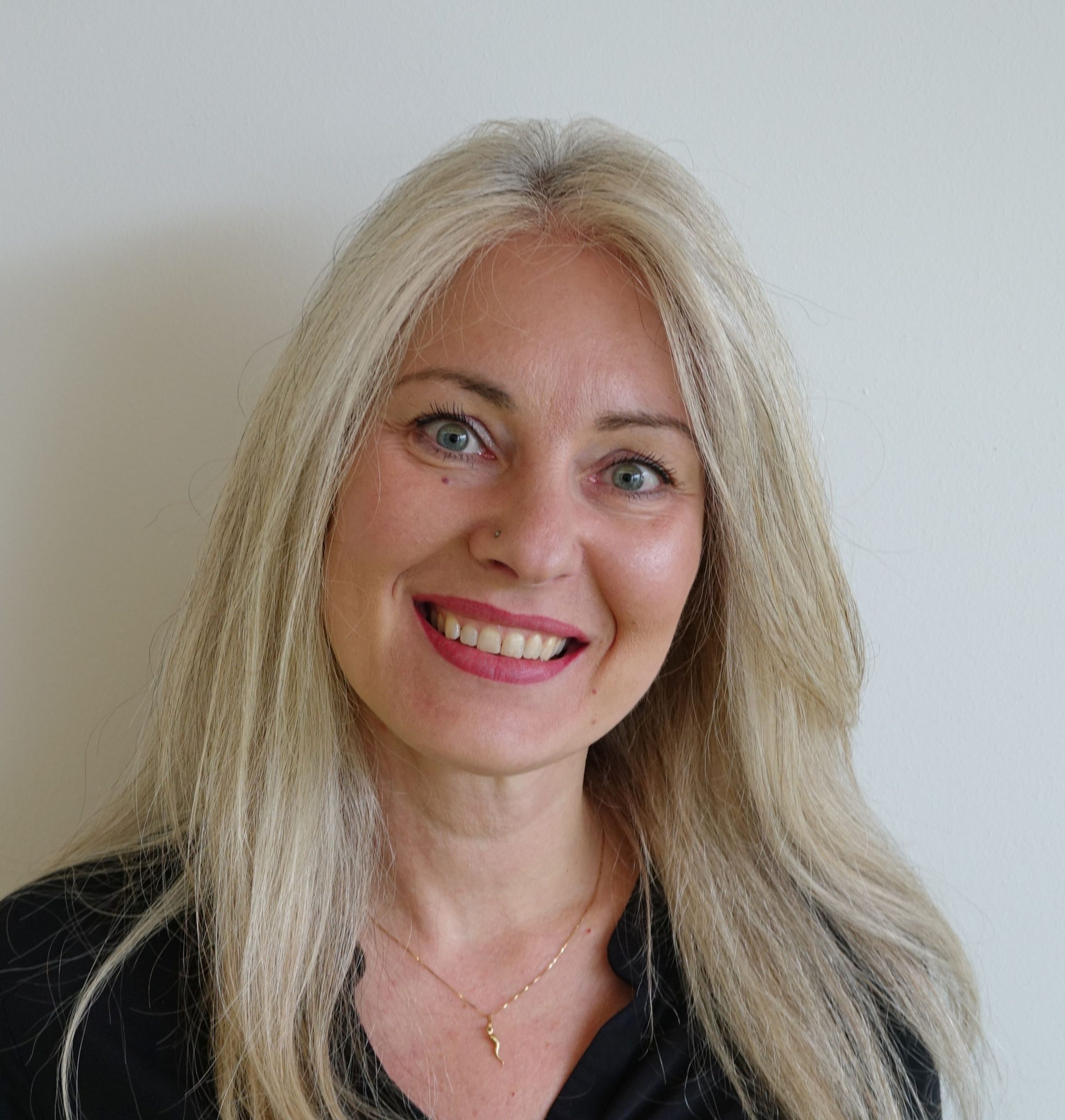 Ventura, Virginia - Kopie